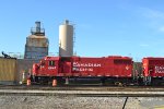 CP 4443